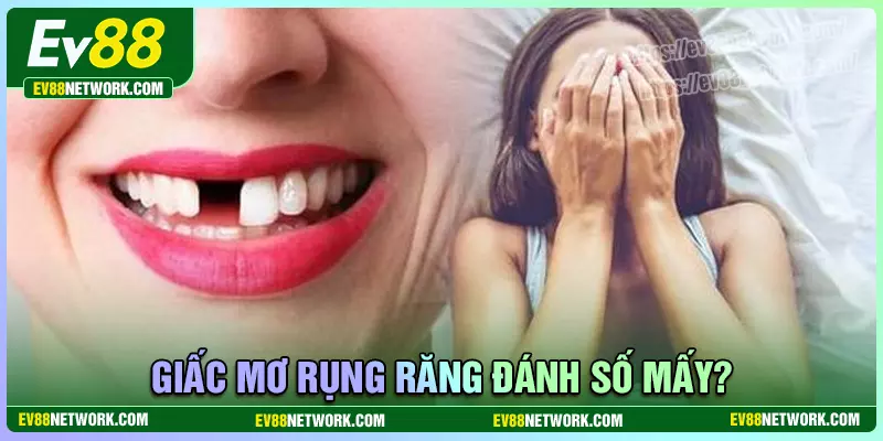 Mơ rụng răng nên đánh số mấy trúng lớn?