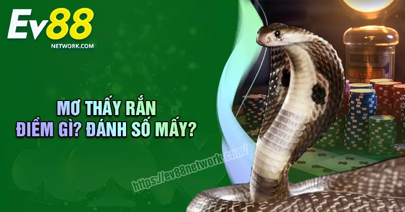 Mơ thấy rắn đánh đề bao nhiêu? Điềm tốt hay xấu?