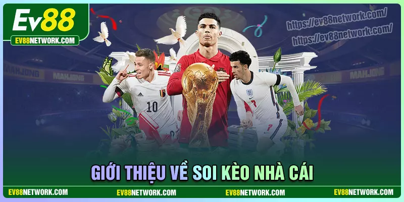 Những điều cần biết về soi kèo nhà cái