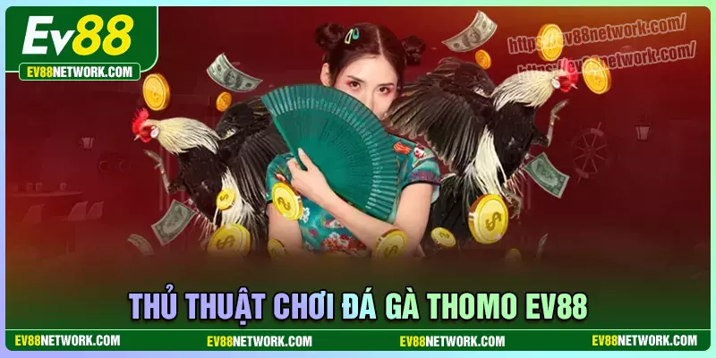 Thủ thuật cược đá gà thomo cực hay cho kê thủ